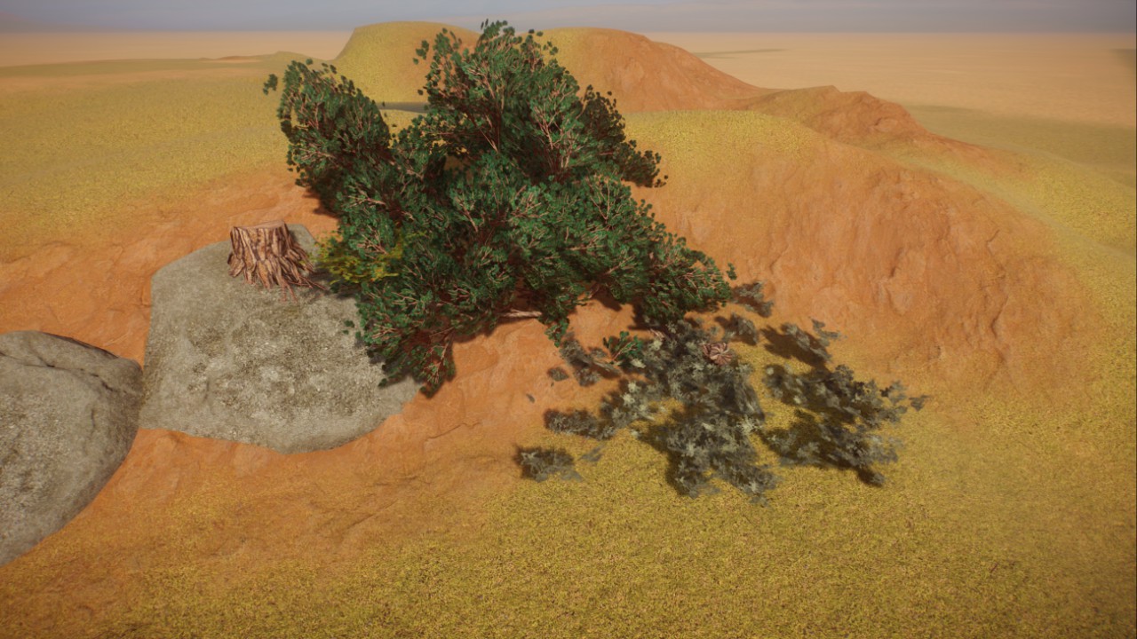 Mugo pine cluster