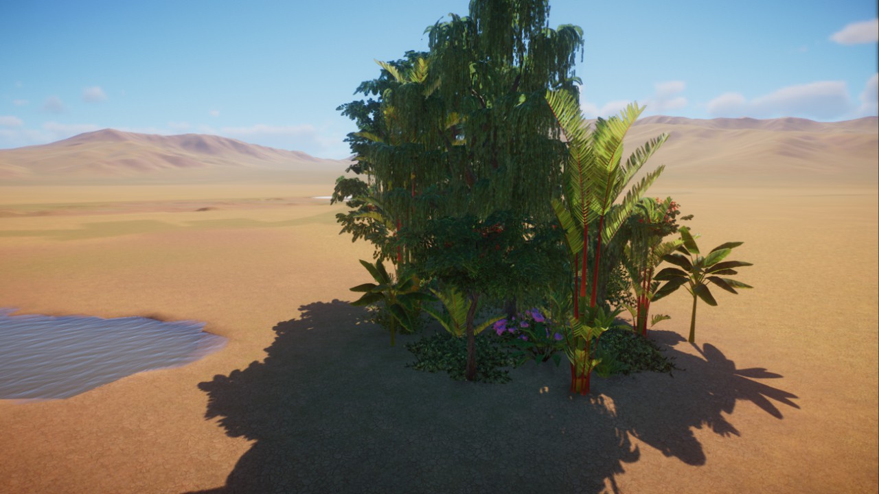 Asian tropical cluster vi