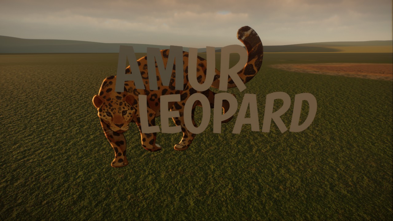 Amur Leopard Sign