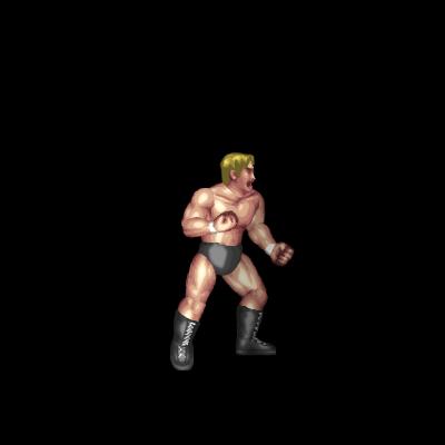 燃える闘魂 / Fighting Spirit