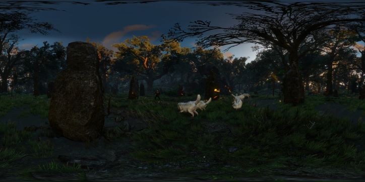 The Witcher 3 White Wolves