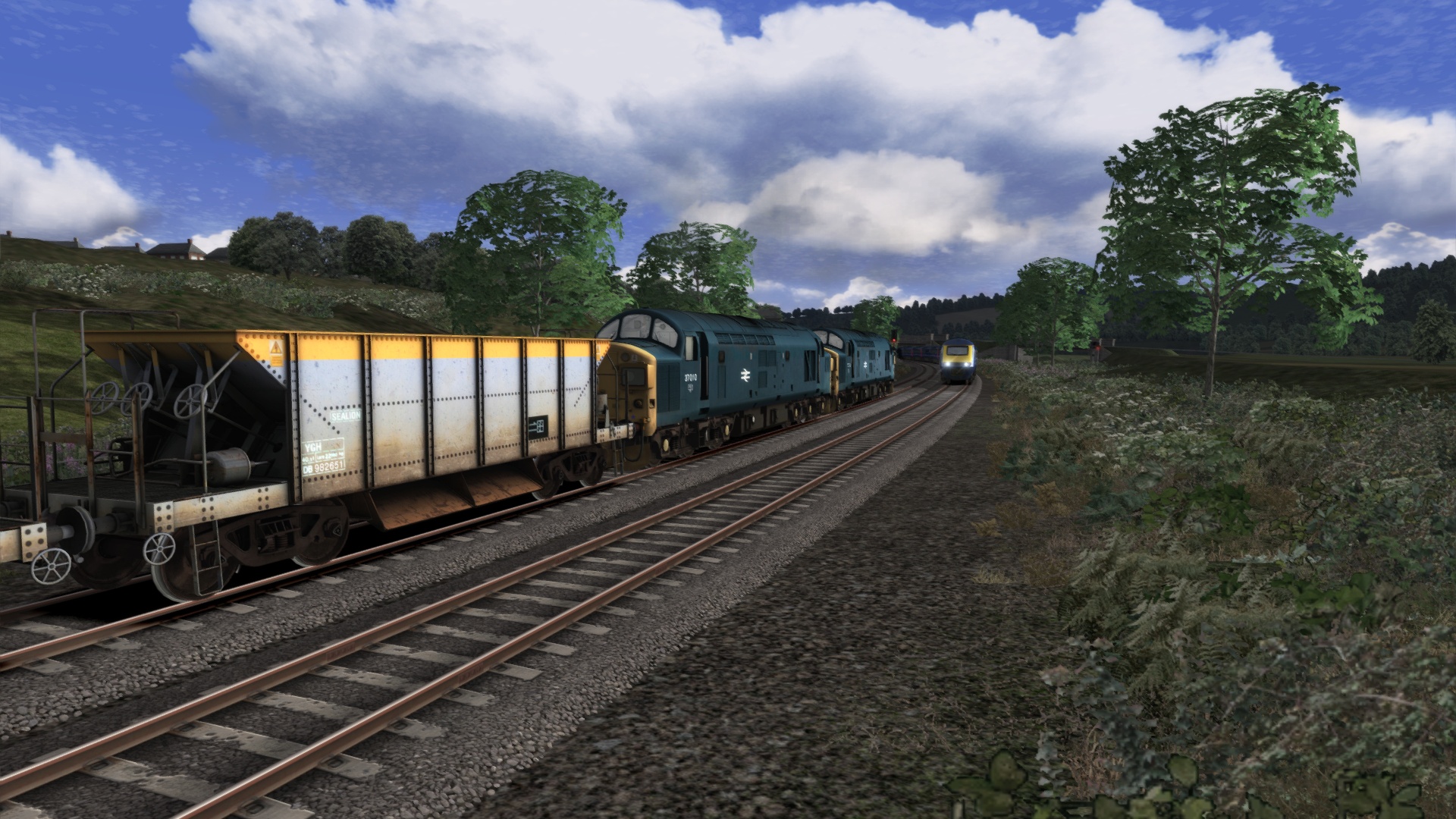 (Class 37) Sealions to the Seaside