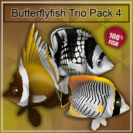 Butterflyfish Trio Pack 4
