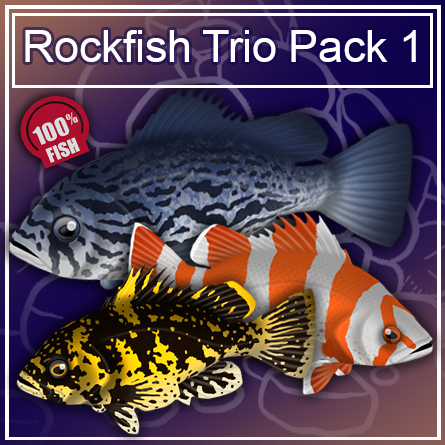 Rockfish Trio Pack 1