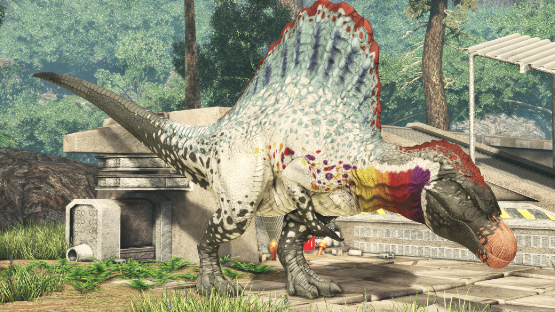 Exaltus Spino Mutation and Skin
