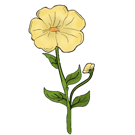 Blume Gelb