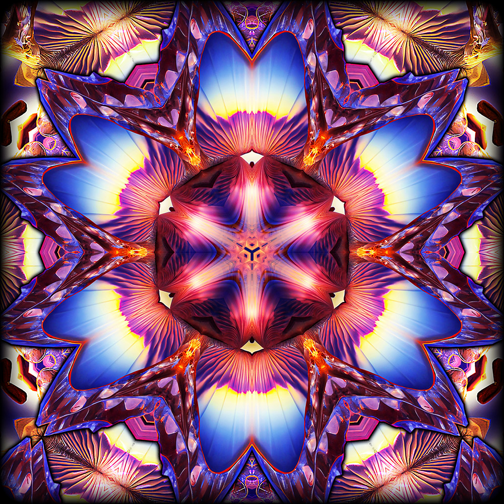 14-11-2022