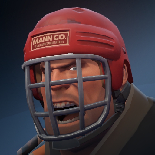 Puck Protector