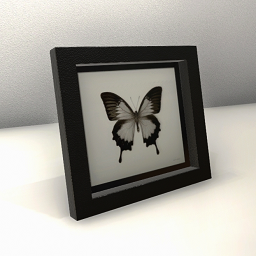Framed butterfly art - Black