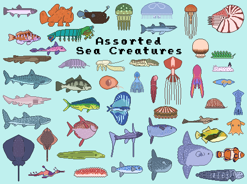 Assorted Sea Creatures - Fishes, Sharks, Sea Jellies, and More!