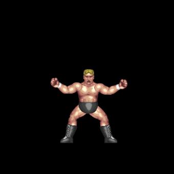 Low Vault Shout