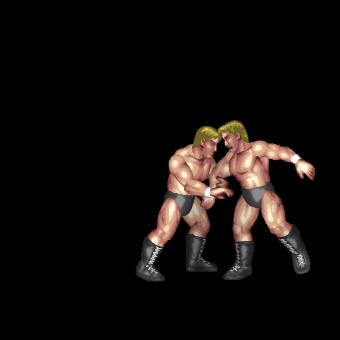 Arm Hold Middle Kick