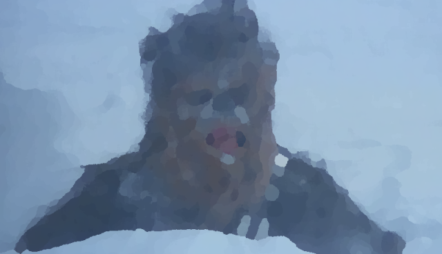 Better Fur Skin Genes