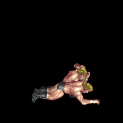 Hammerlock (mount)