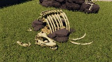 Fossilized Theme- Small shelter