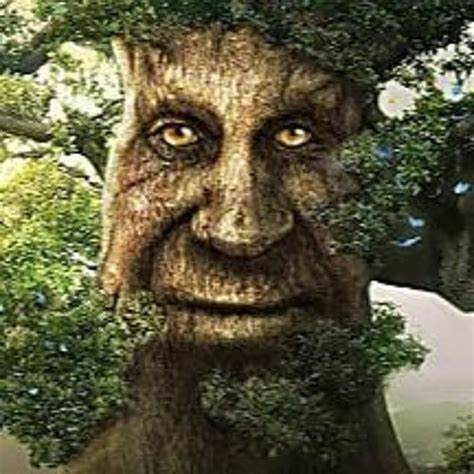 wise mystical tree