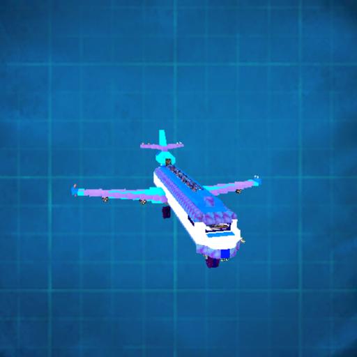 repainted luxury jet