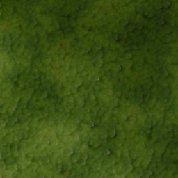 4x4 Mossy Ground Tile