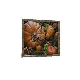 Fall Pumpkins with Burned Ash Frame