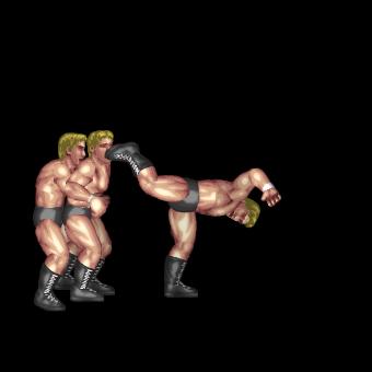 Superkick German Suplex Combo