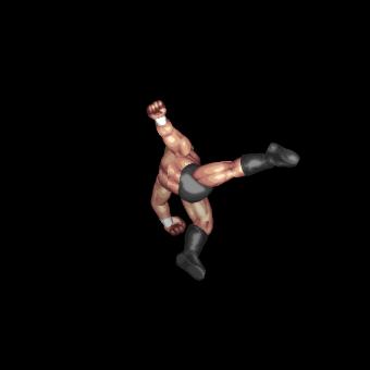 Screw High Kick
