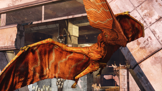 Orange Tupa (free drop)