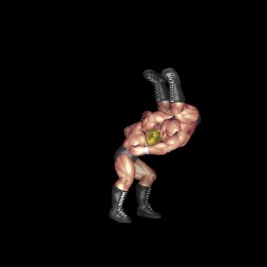 Throw into Ring