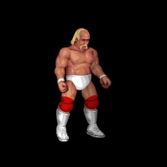 Hulk Hogan (early 80's)