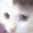 him