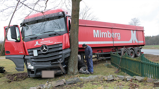 Combo skin Mimberg spedition