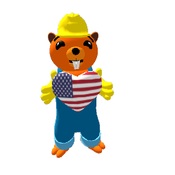Bessie loves USA
