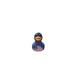 Rubber duckie-USA
