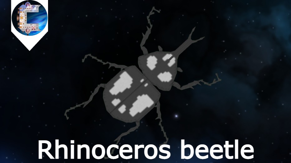Rhinoceros Beetle.