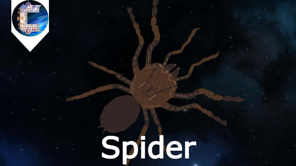 Spider.