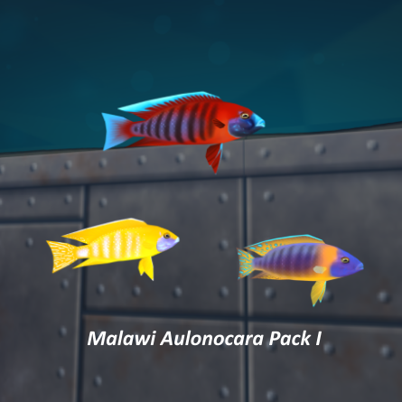 Malawi Aulonocara Pack I