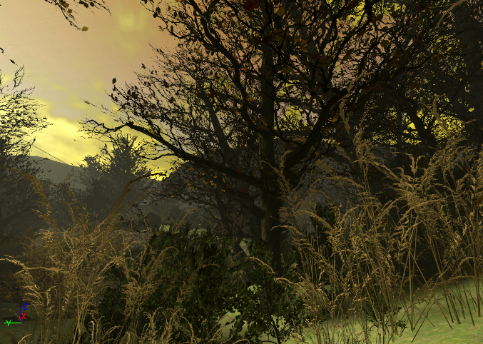 Lost Forest