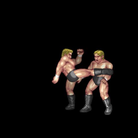 Middle Kick/ミドルキック