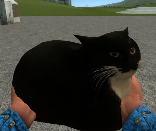 【特別送料無料！】 Steam Workshop::Maxwell the carryable cat その他