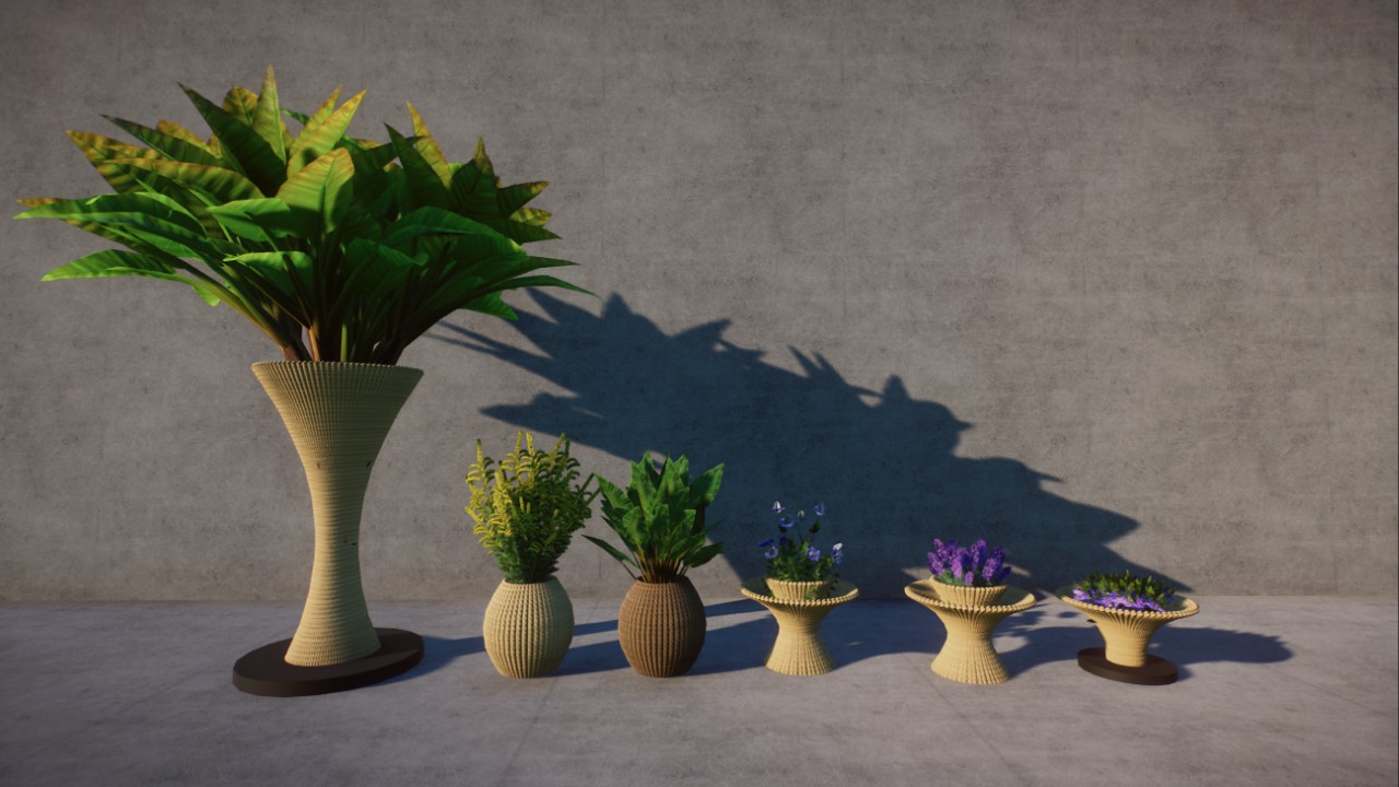 植物，plant，花瓶，vase