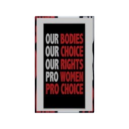 Our Bodies Poster