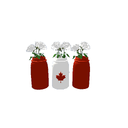 Canadian style vases with roses