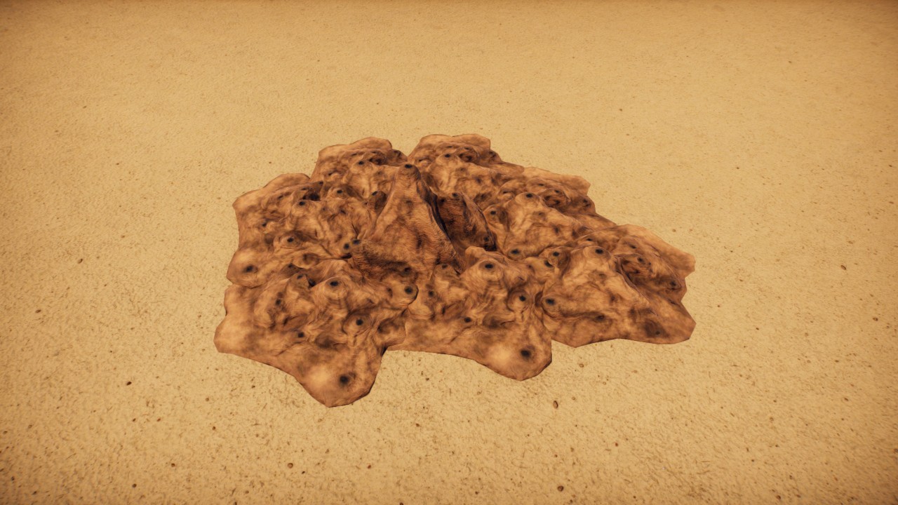 Termite colony 6 / Colonia de termitas  6