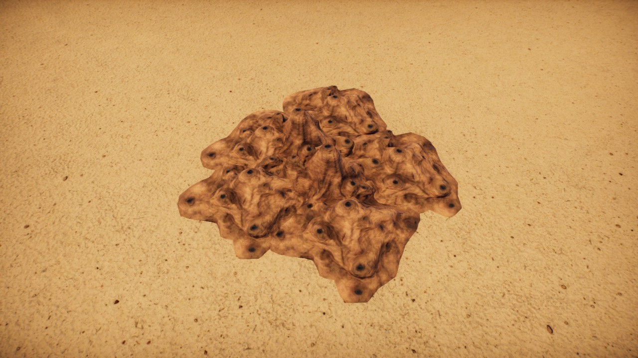 Termite colony 7 / Colonia de termitas  7