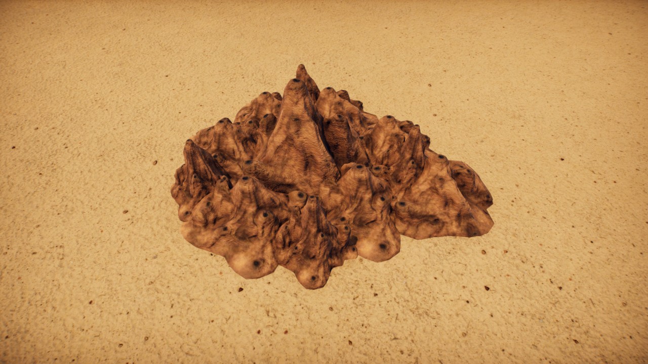 Termite colony 8 / Colonia de termitas  8