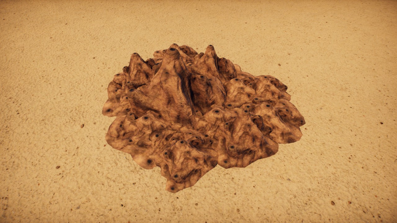 Termite colony 9 / Colonia de termitas  9