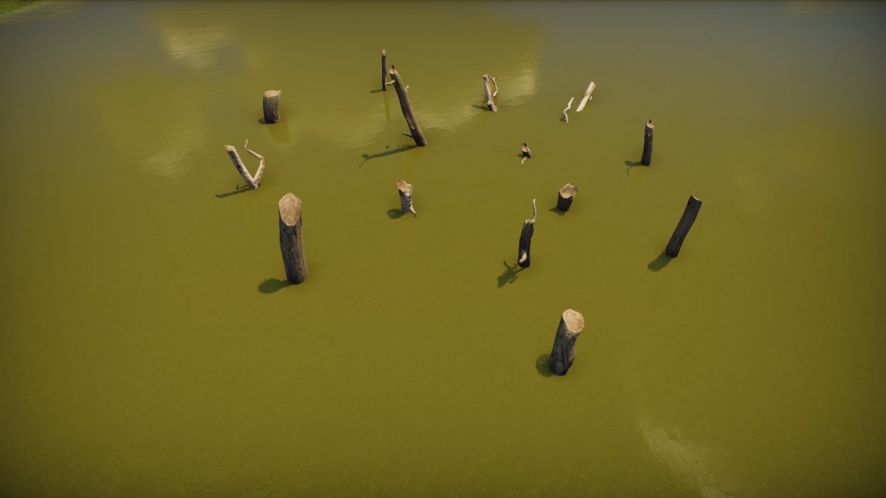 Submerged dead trees / Arboles muertos sumergidos