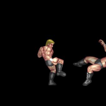 Spinning Heel Kick