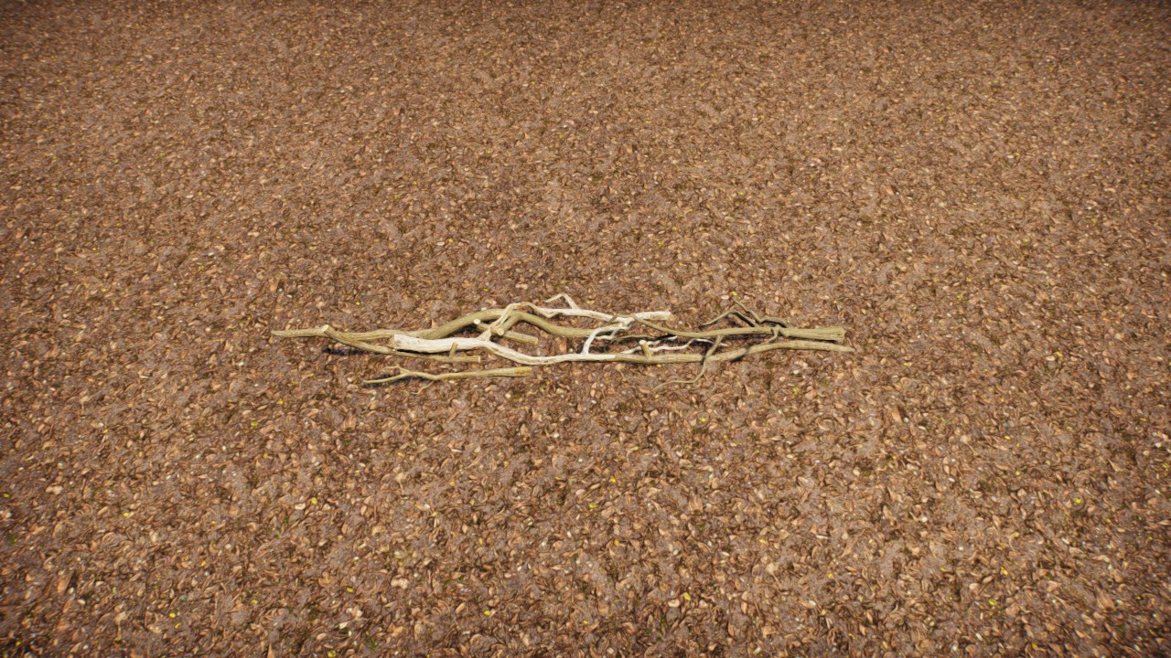 Branches on the ground 4 / Ramas en el suelo 4