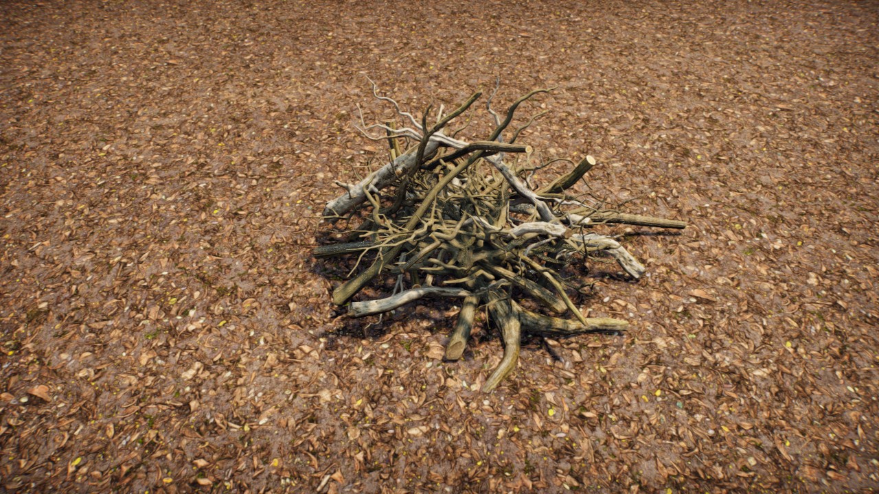 Branches on the ground 5 / Ramas en el suelo 5