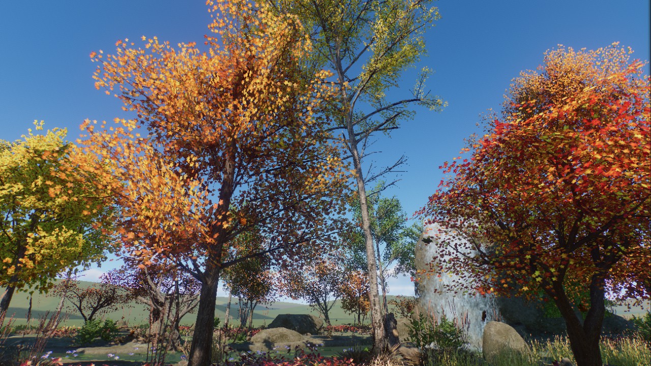 Autumn Scenery 2